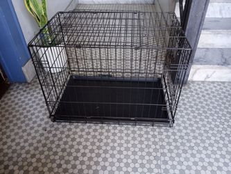 Foldable dog crate