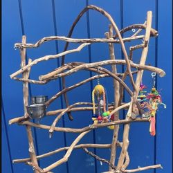 Small Bird Perch Tree … Nice Design With A 180 Degree Arch … A Socializer ! 👍🏼