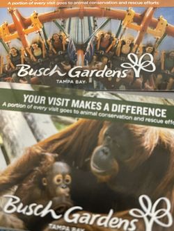 2 Busch Garden Tickets tampa