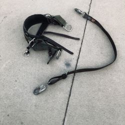 Buckingham Commercial Tree Climbing Belt 