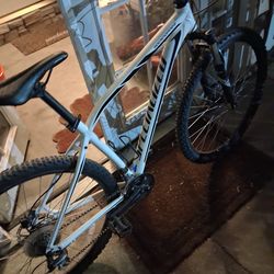 Specialized 29 rockhopper