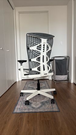 Fully-Adjustable Ergonomic Office Desk Chair, Gray & White