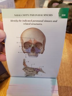 Gray's Anatomy 4th Edition Flash Cards