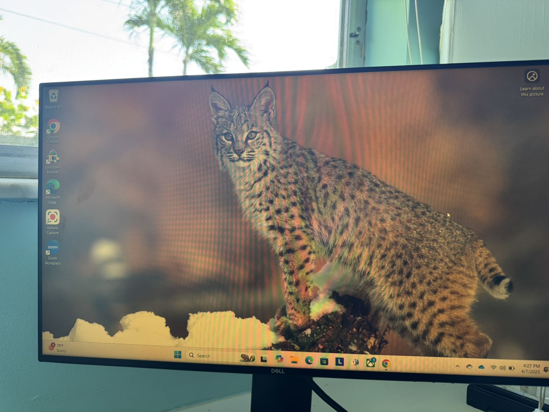Computer Monitors