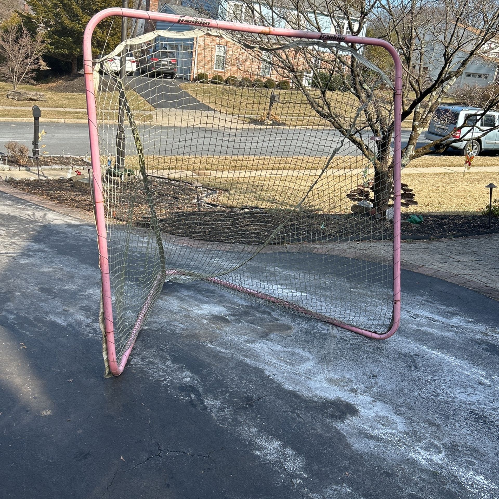 Lacrosse Goal Net And Frame