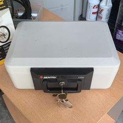 Sentry 100 Safe