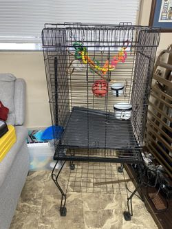 Bird Cage