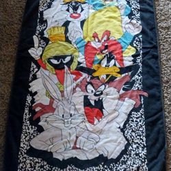 WARNER BROS. CARTOON TOWEL