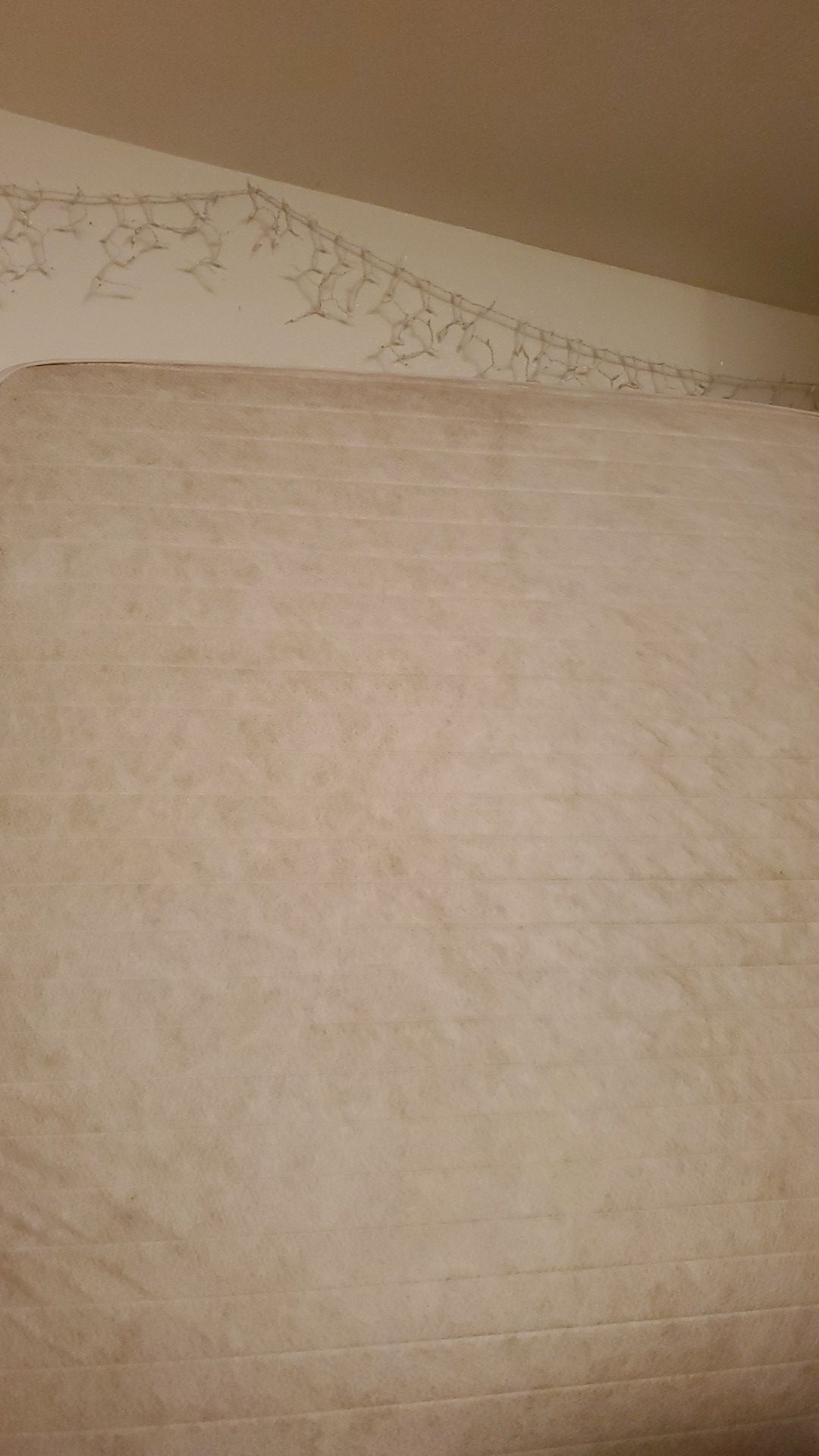 Free king size bed