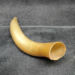 Cow Horn 