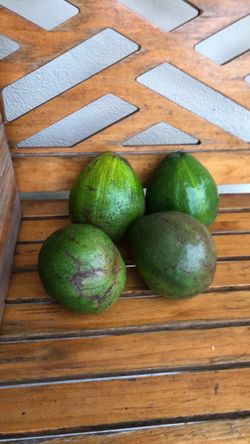 Organic Avocados/ Aguacate Maduros