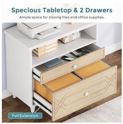 Federal file cabinet white with the light Oak finish front drawer new