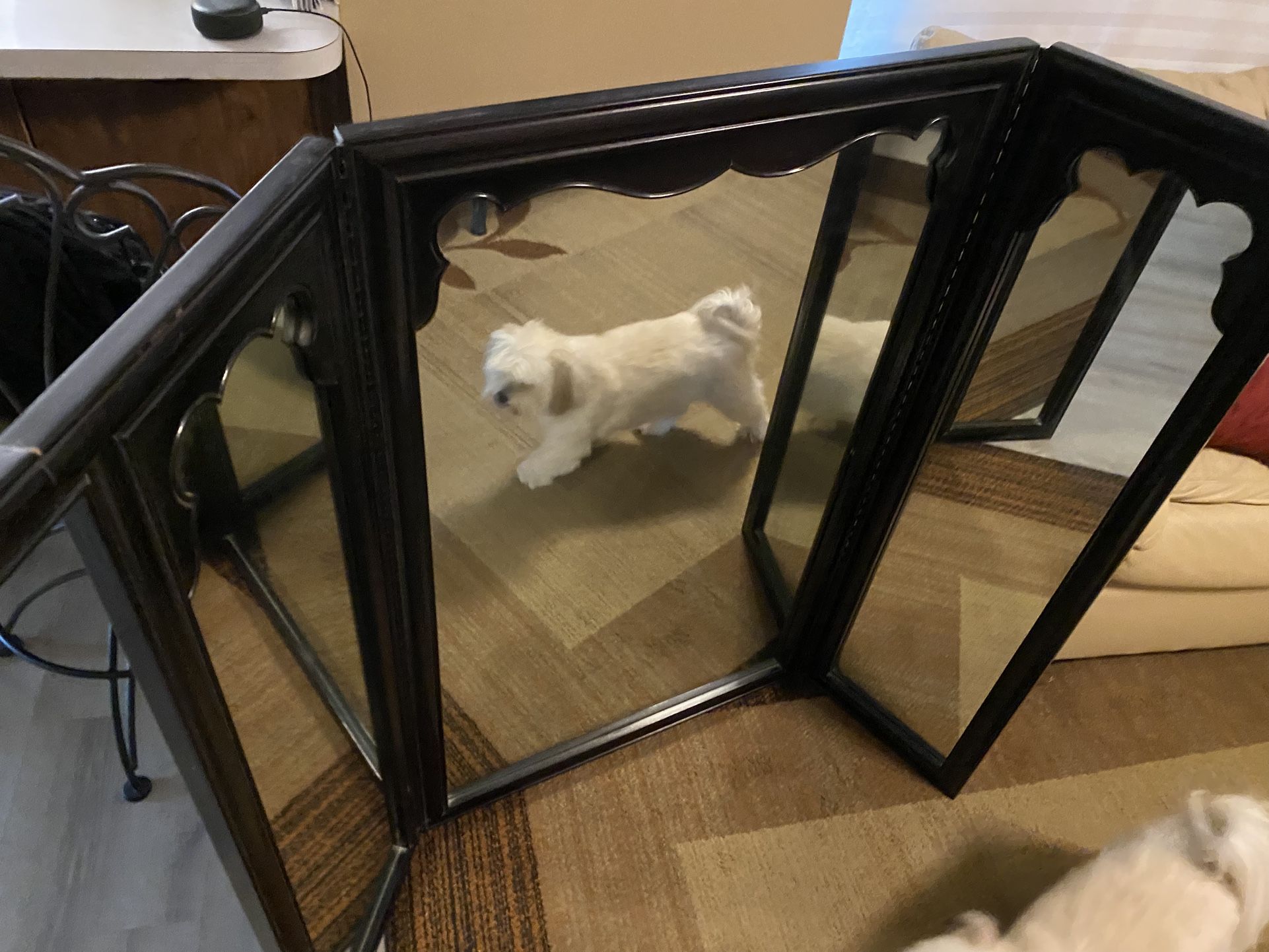 Large Vanity Mirror