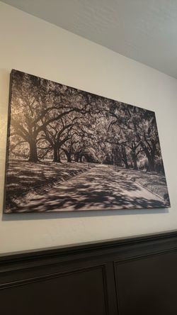 Large Black and White Tree-Lined Path Canvas Print