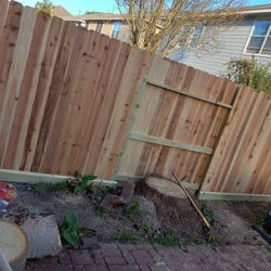 New Fence