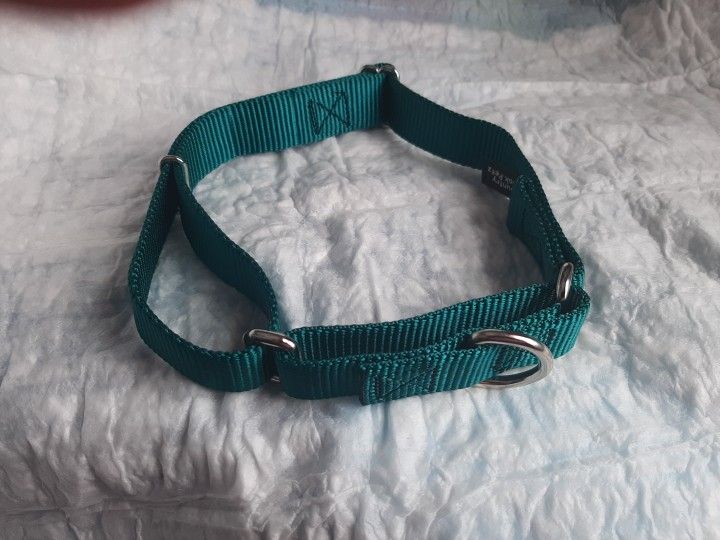 Brand New Dog Collar Large