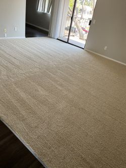 Cream Beige Vanilla Carpet