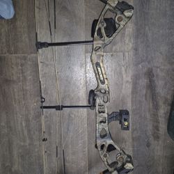 Bear Compound Bow 