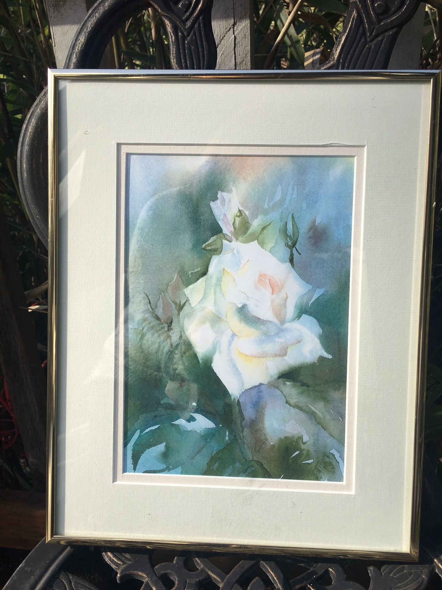 Peace Rose - Marilyn Jacobs Watercolors