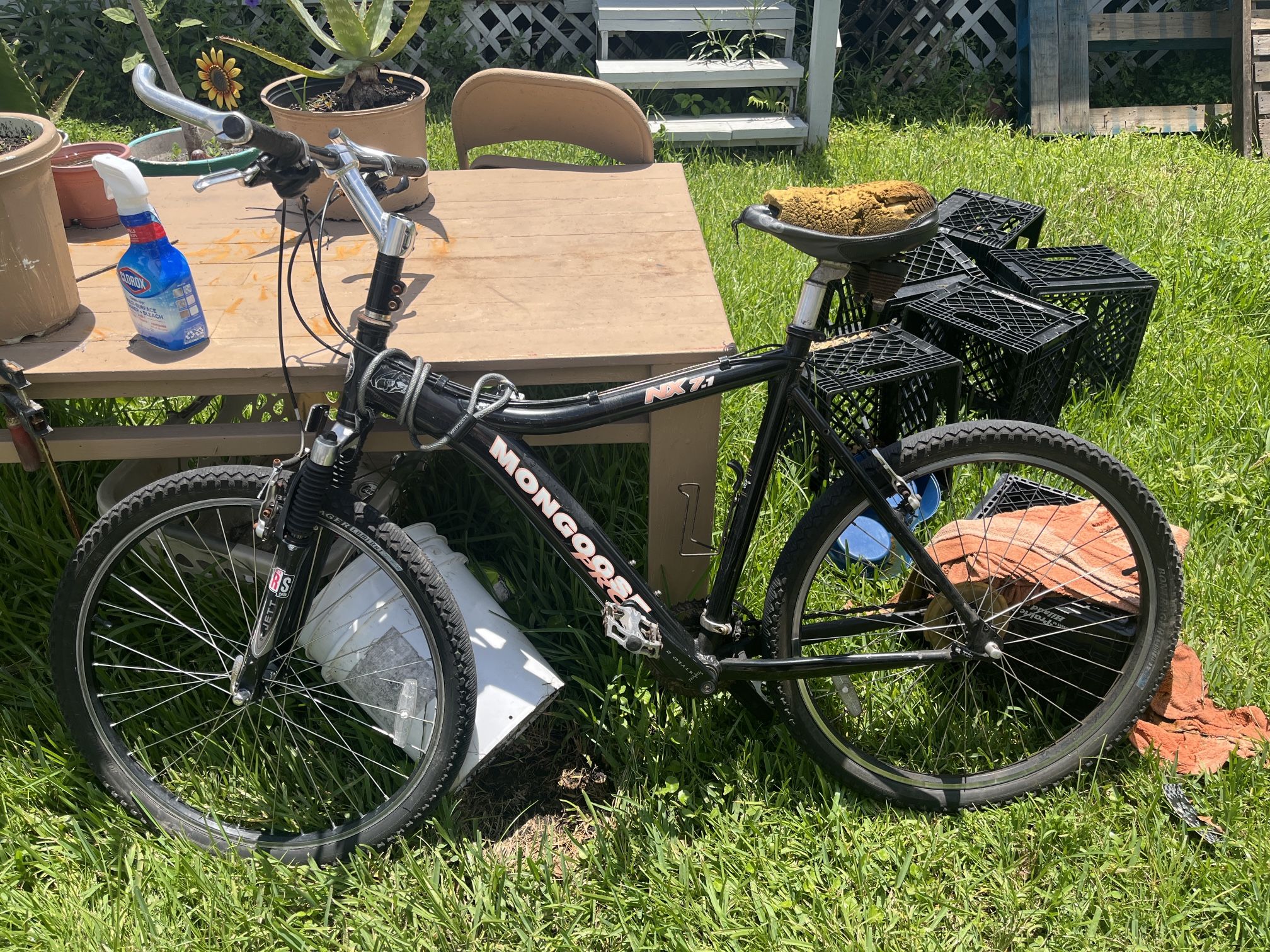Mongoose Nx 7.1