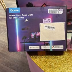 Govee Neon Rope Light 16.4 Ft For Wall Lighting 