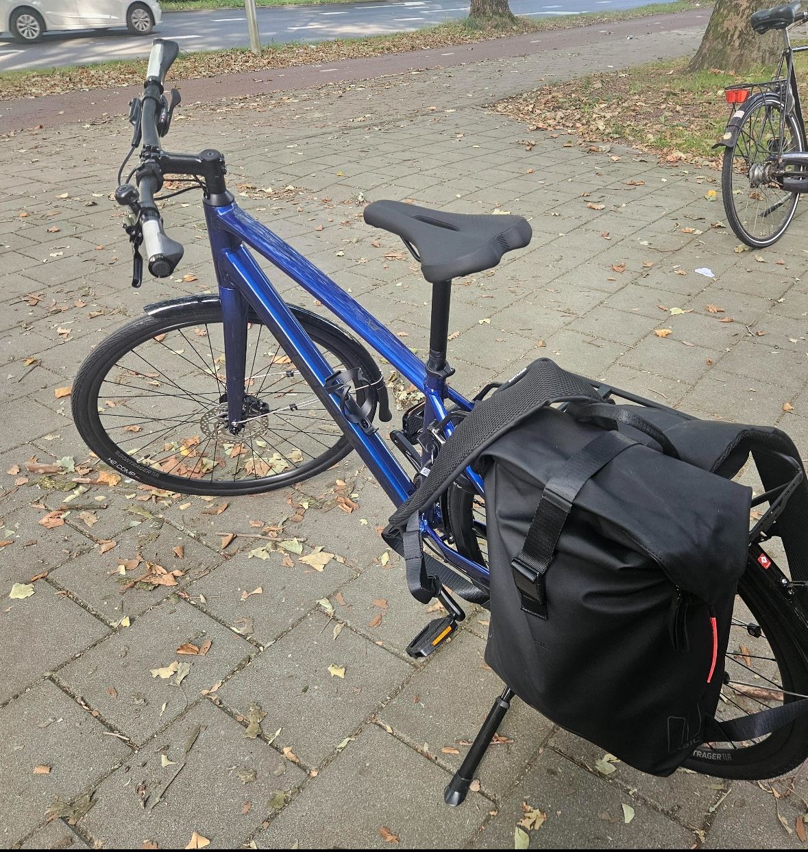 Trek Fx3 Adult Bike