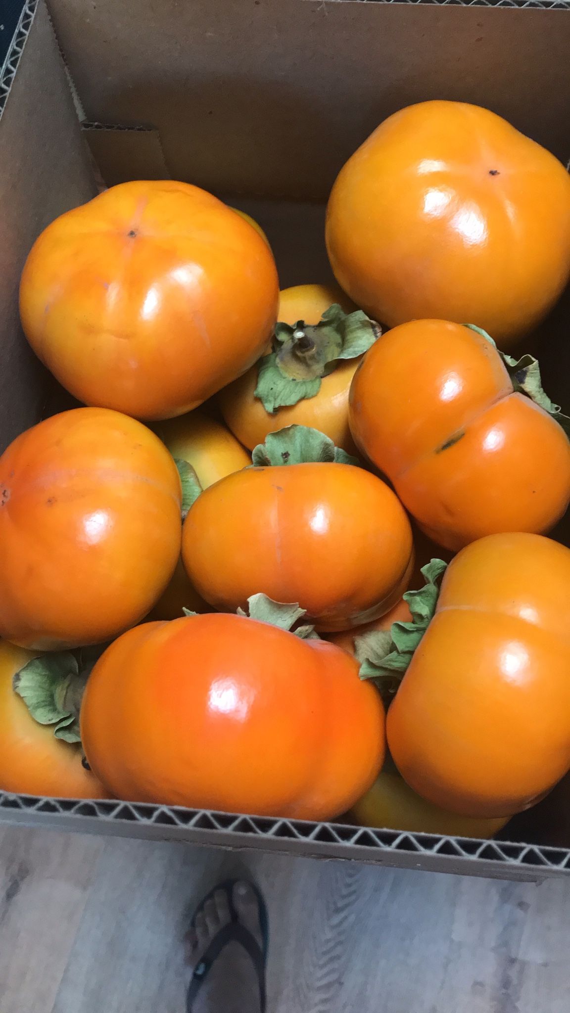 Organic Persimmons
