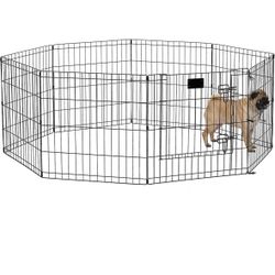 Dog play plen