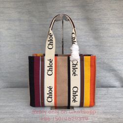 Chloe rainbow Woody tote bag 