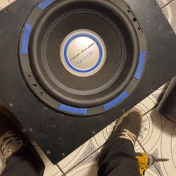 12” Subwoofer 