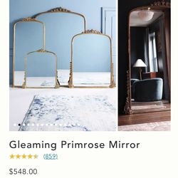 Anthropologie PrimRose Mirror- 5’