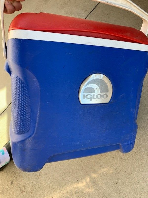 Igloo Cooler