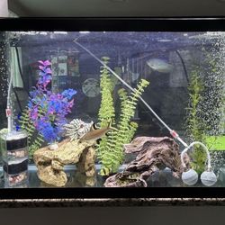 30 Gallons Fish Tank, Size Is 30 x 18,5 x 12
