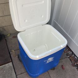 Beach Cooler 