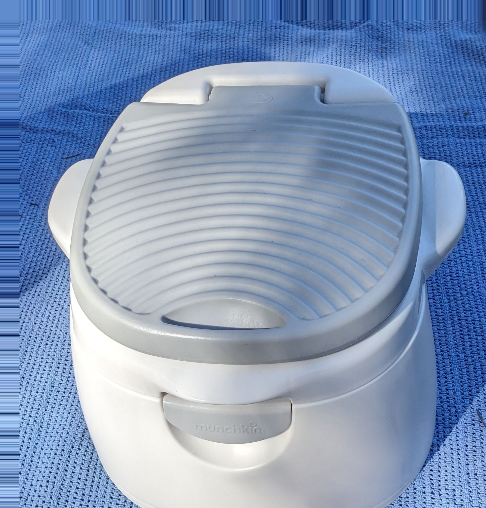 Toddler training potty