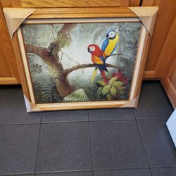 Bird Szie 28"x26"