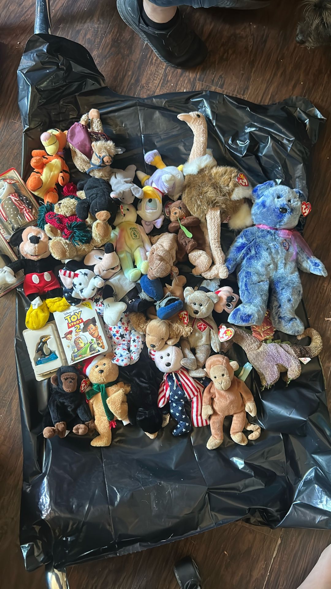 beanie babies collectibles