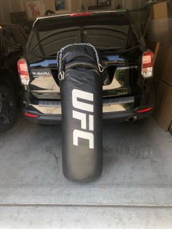 UFC punching Bag