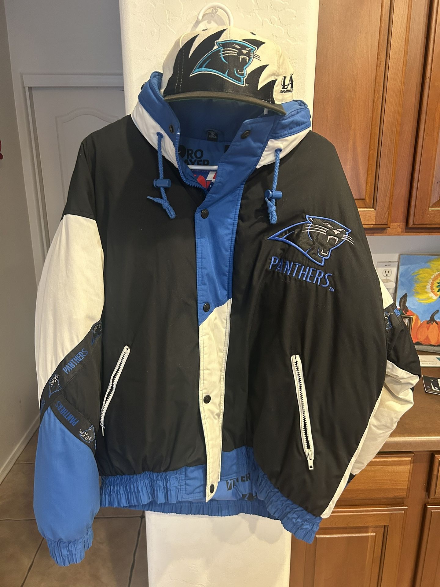 Carolina Panthers bundle Packet