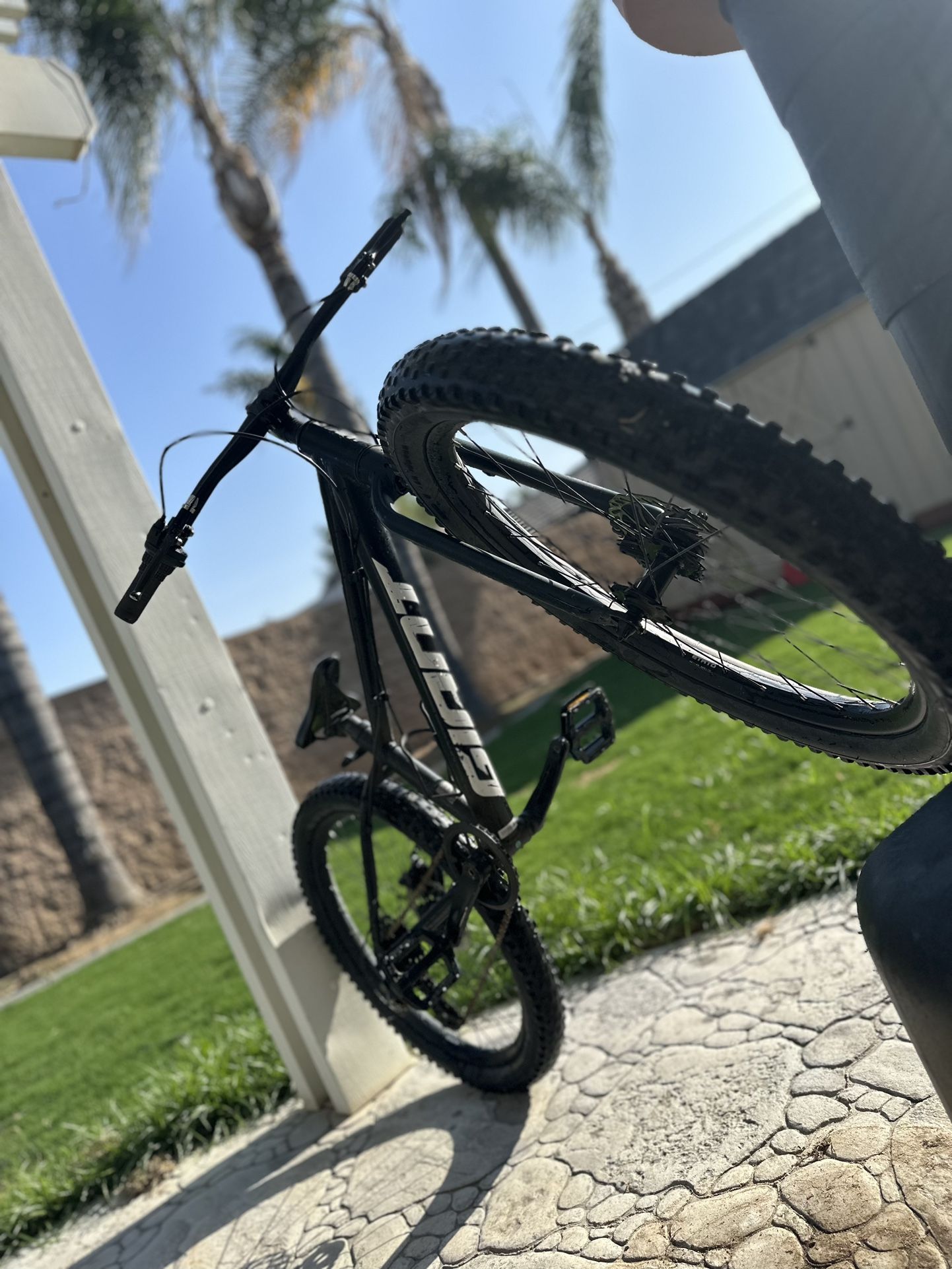 Giant Bike