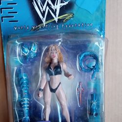 wwf sable jakks figure wwe brand new