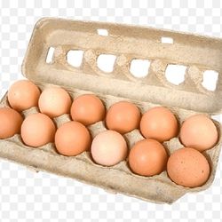 12 Daily Fresh Local Small Organic Eggs 