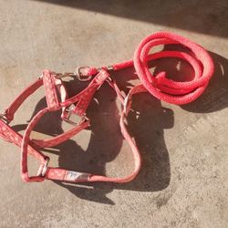 Halter And Lead Rope