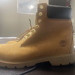 Timberland  Basic 6 Inch  SZ 12 Men’s