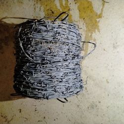 Two Prong Barbedwire 