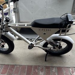 Pedal Ebike 