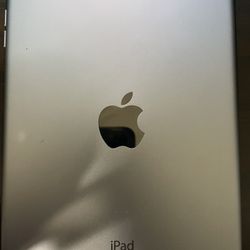 iPad mini