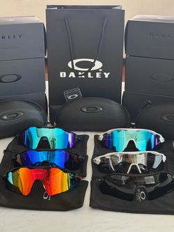 Oakley Glasses