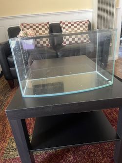 Mr. Aqua Rimless Tank And Light