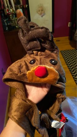Dog costume size:L